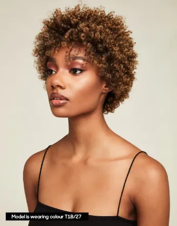 Image de FEME AFRO LACE WIG - SOFT NATURAL CURL